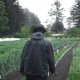 Farm to Table on Haida Gwaii